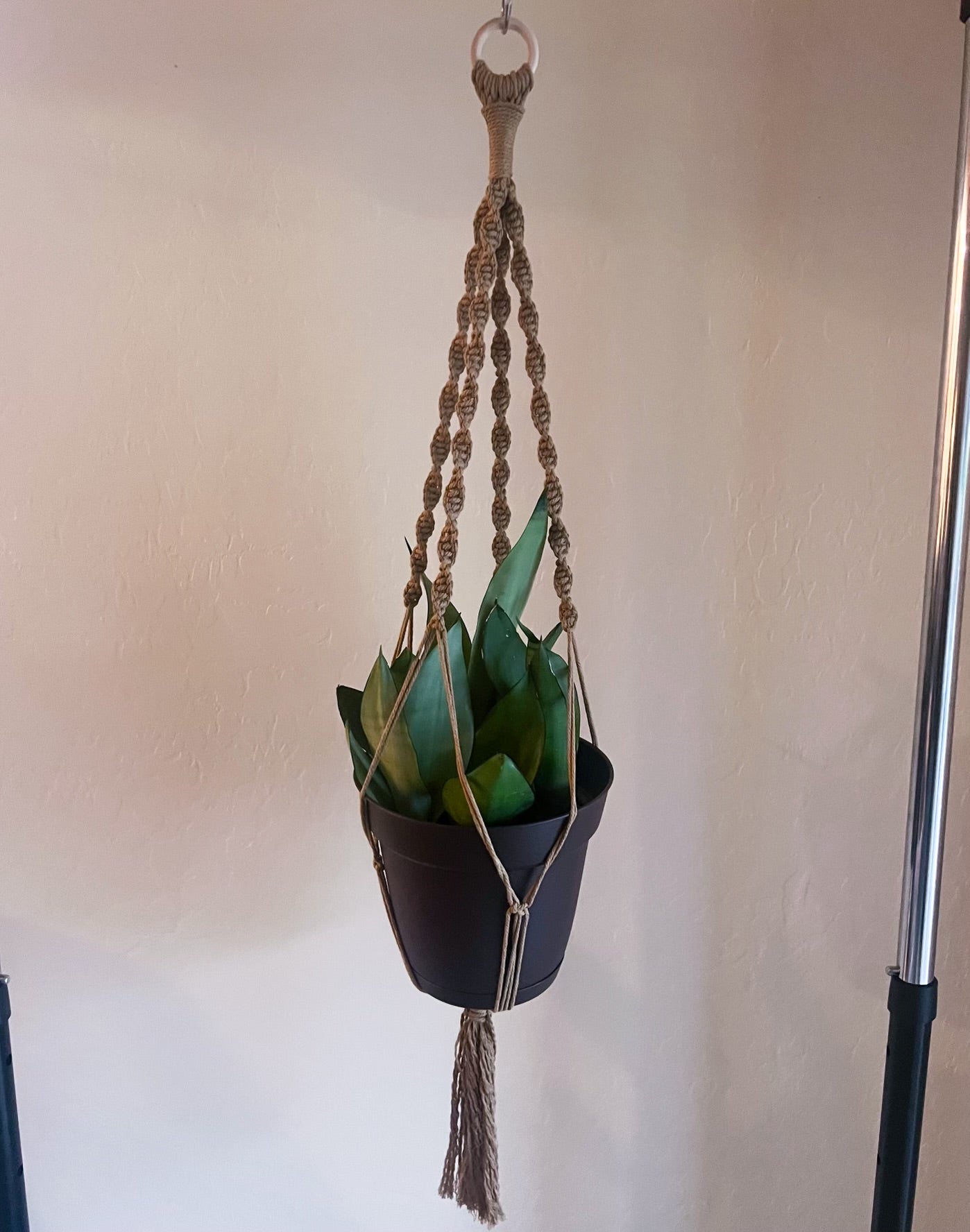 Plant Hanger