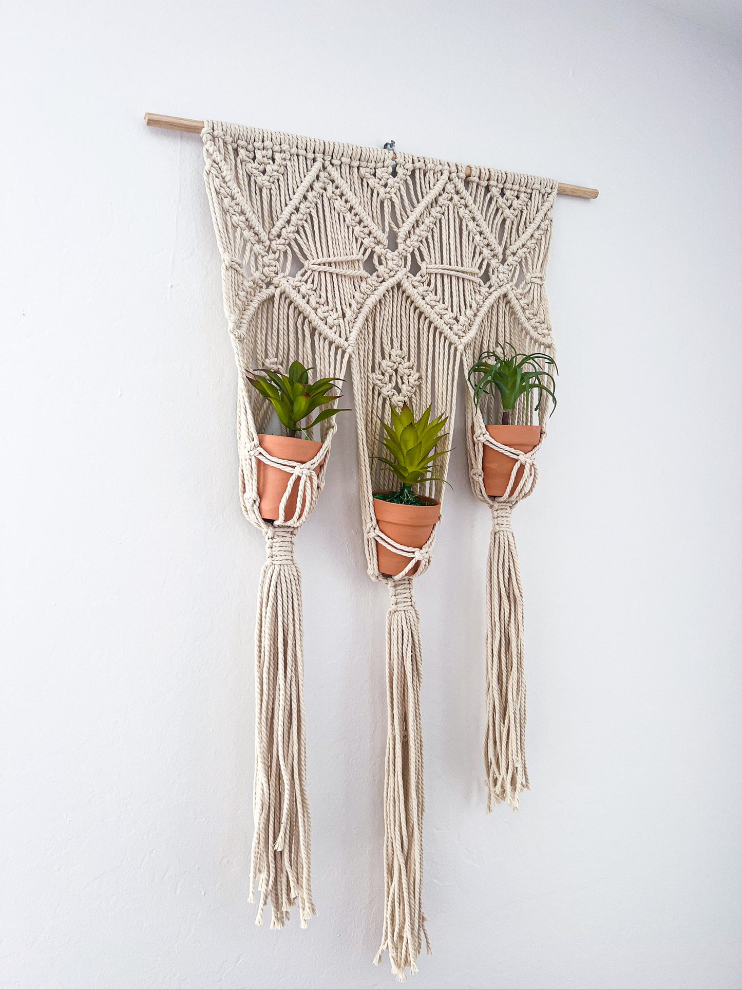 Tri-Plant wall hanger