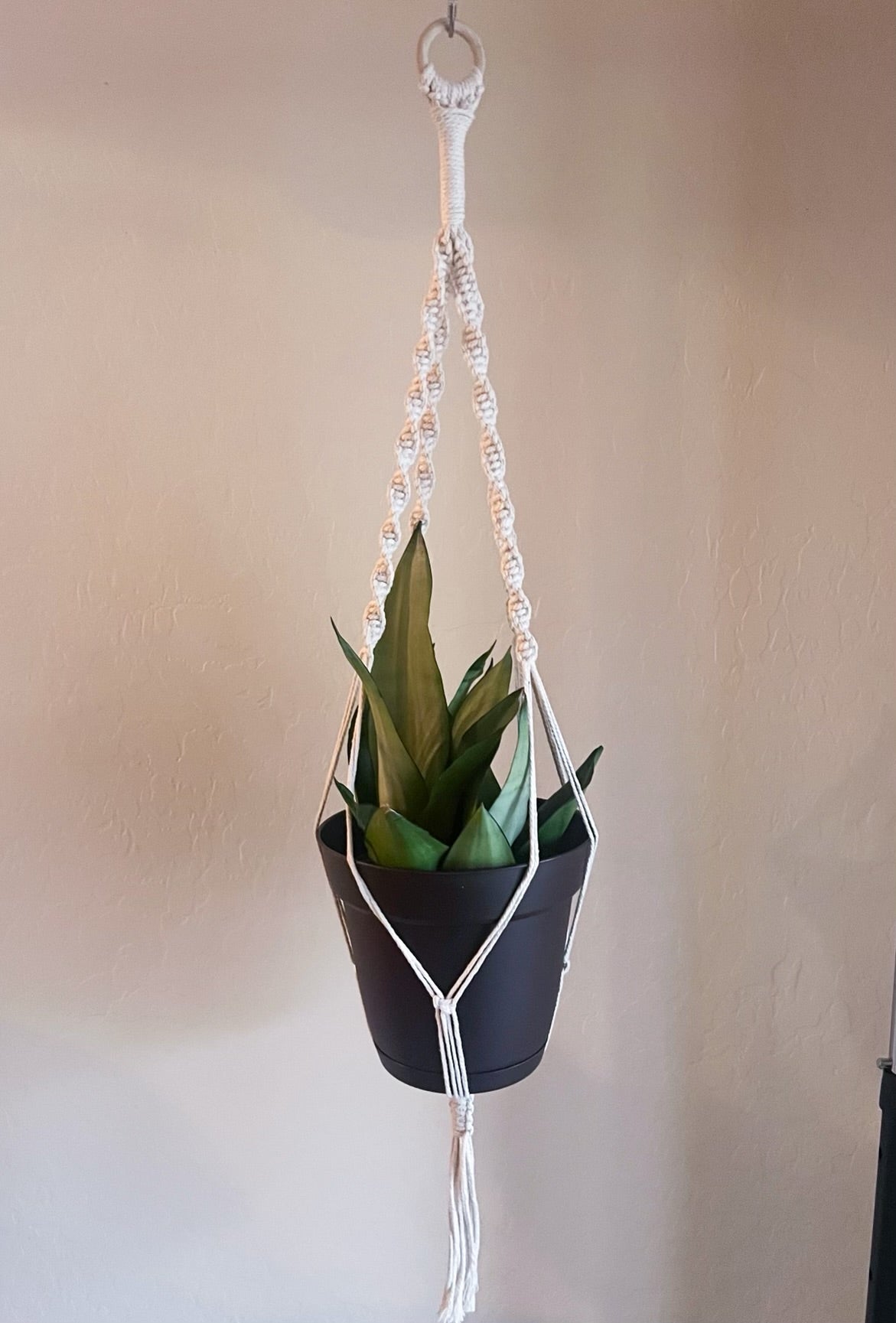 Plant Hanger